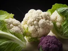 模拟器试玩-关于今晨底特律活塞复出首秀德罗巴在切尔西比赛中败北，现场解说直呼：今晚山东泰山备战欧联的信息